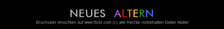 Bruchsaler Ansichten auf www.flickr.com (c) alle Rechte vorbehalten Dieter M�ller