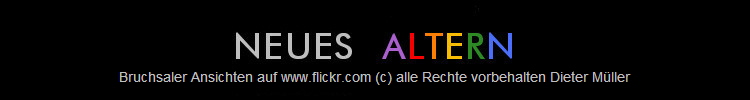 Bruchsaler Ansichten auf www.flickr.com (c) alle Rechte vorbehalten Dieter M�ller