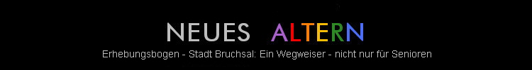 Erhebungsbogen - Stadt Bruchsal: Ein Wegweiser - nicht nur f�r Senioren