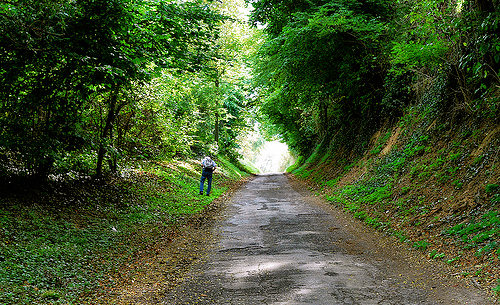 Bruchsaler Hohlweg Foto (c) Dieter Mller