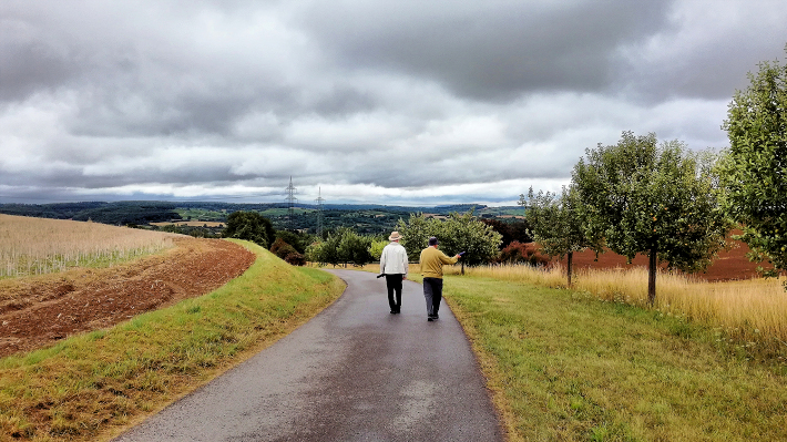 Wandern im Bruchsaler Lndchen/im Bruchsaler Hgelland. Zu einem gesunden Lebensstil gehren gesunde Ernhrung, viel Bewegung, wenig Alkohol, kein Nikotin, soziale Kontakte, lebenslanges Lernen. Klicken Sie auf das Foto, um ein greres Bild zu sehen. Foto (c) Dieter Mller